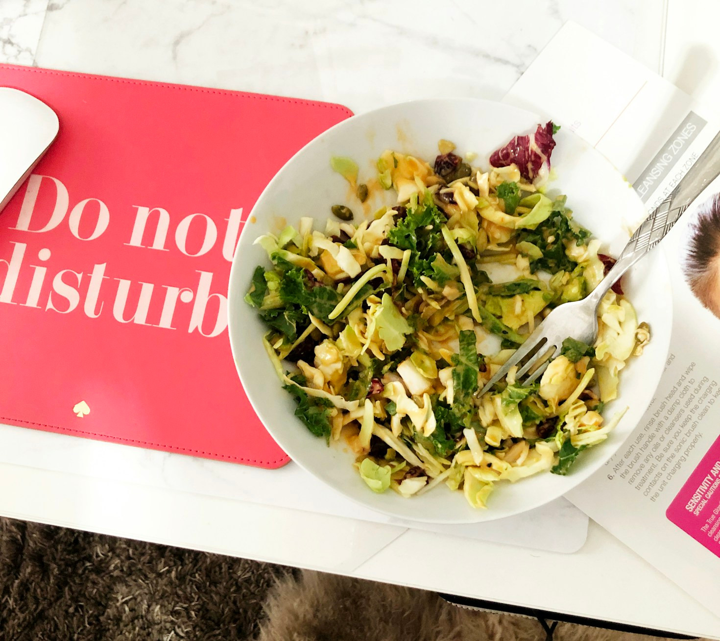 10 High Protein Vegetarian Recipes to Boost Your Day